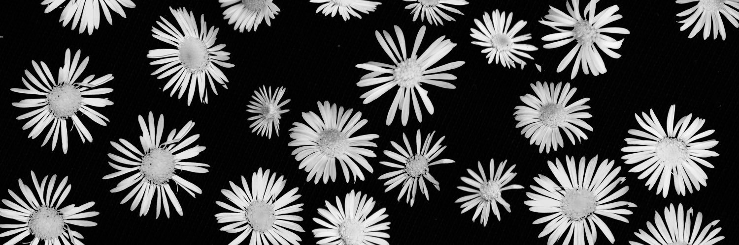 _zky's profile banner image
