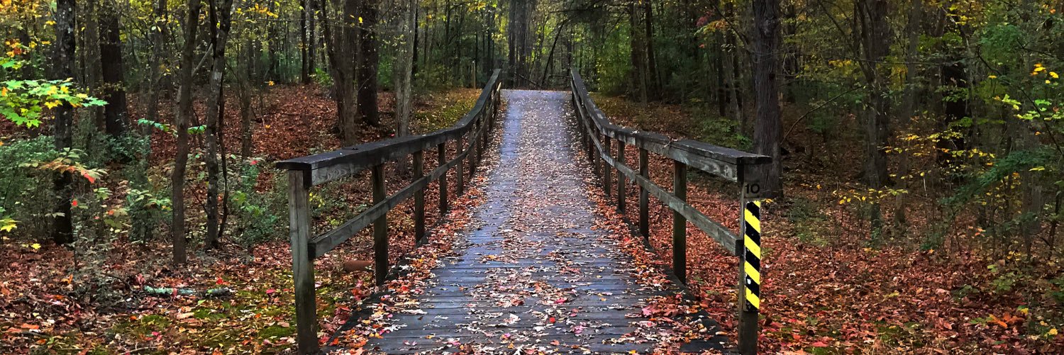 dcarpentrr's profile banner image