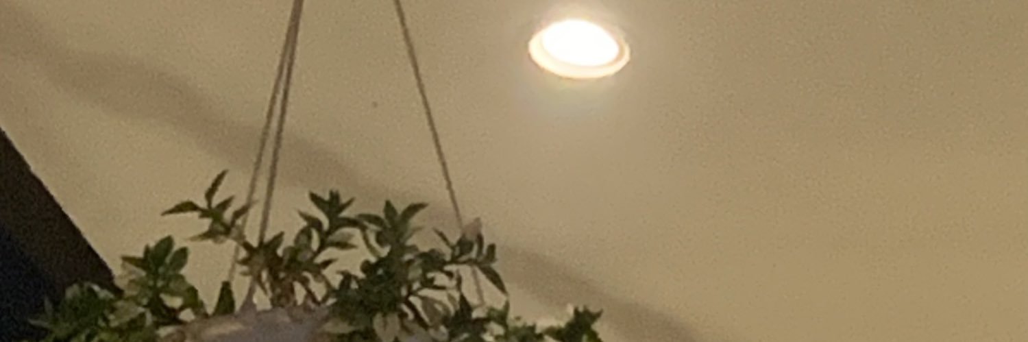 dewahujan_'s profile banner image