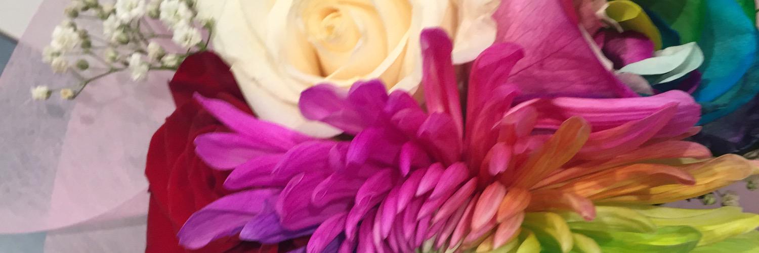 NisreenHelabi's profile banner image