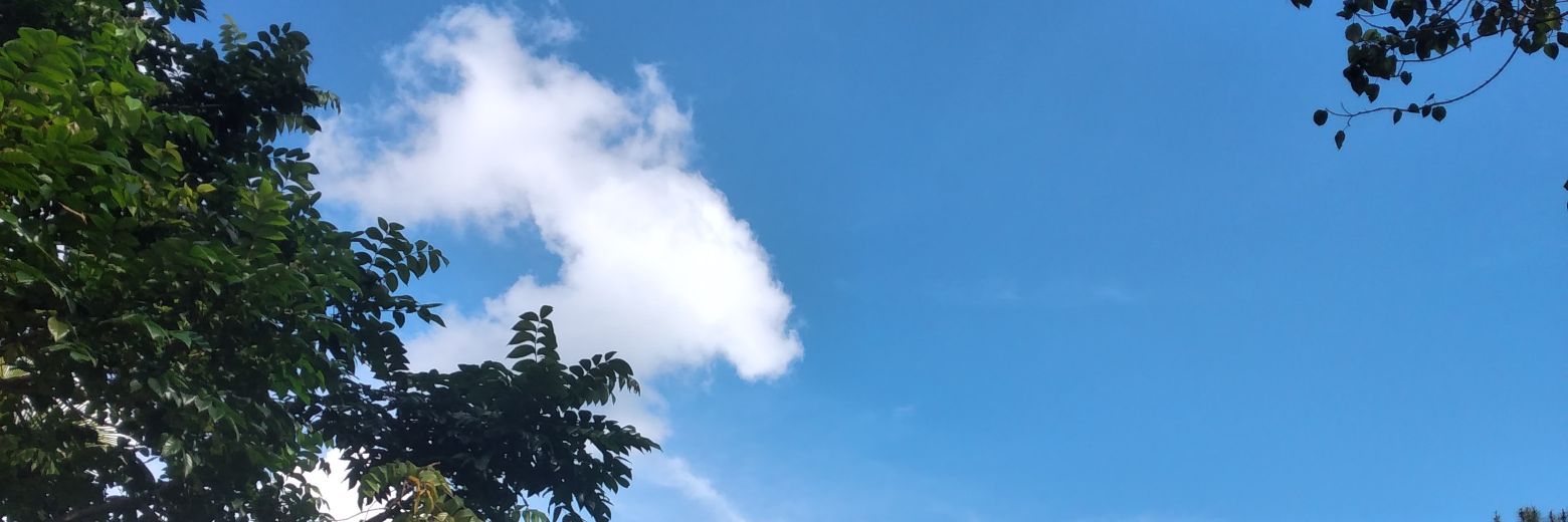 riz. banner
