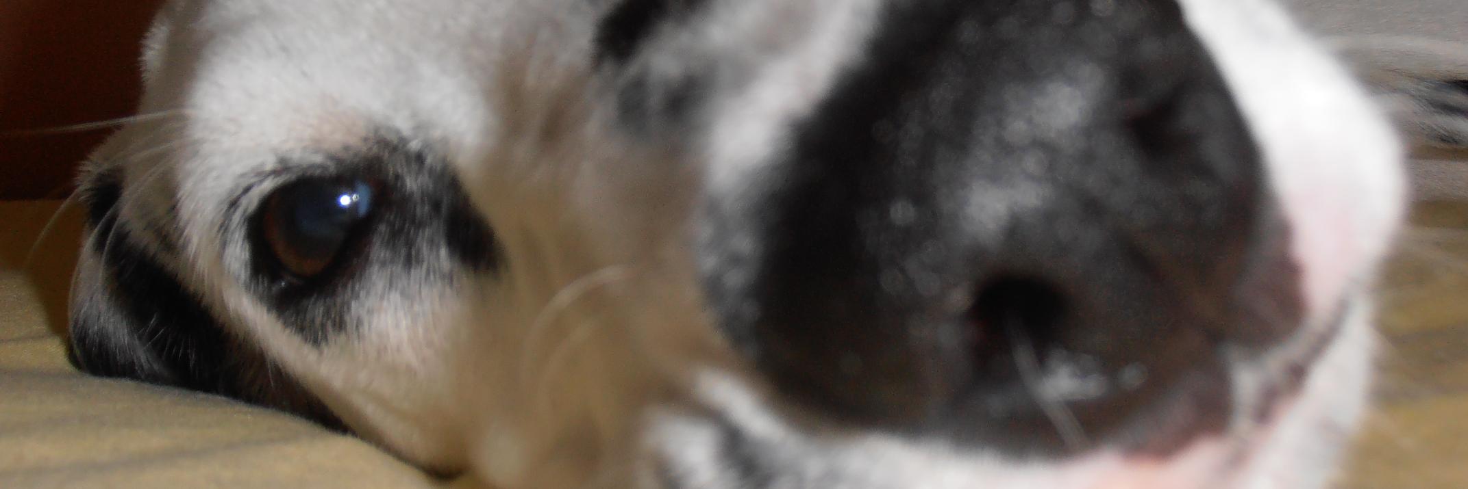 Iria_rguez_2's profile banner image