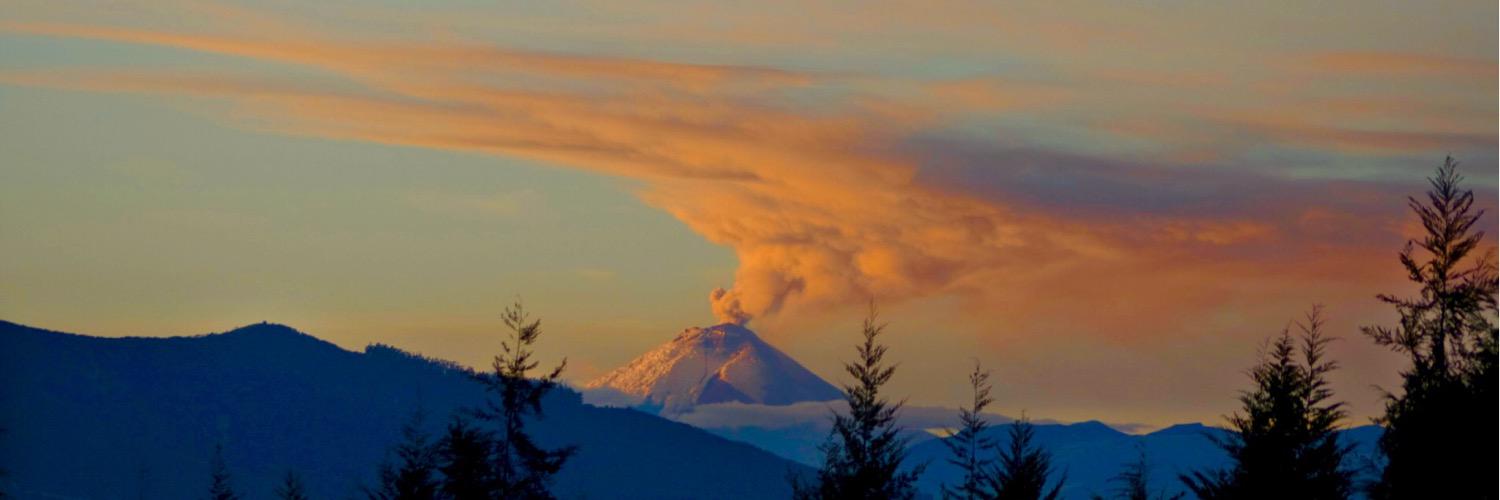 Edison Velasco banner