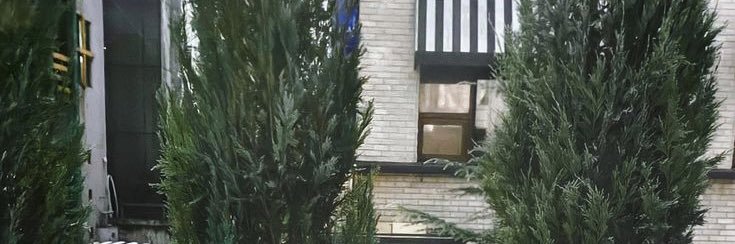 aaaiinn_'s profile banner image