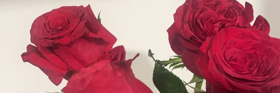 farahrisk's profile banner image