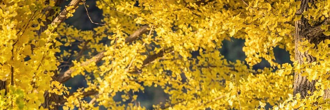 hadneitawsir's profile banner image