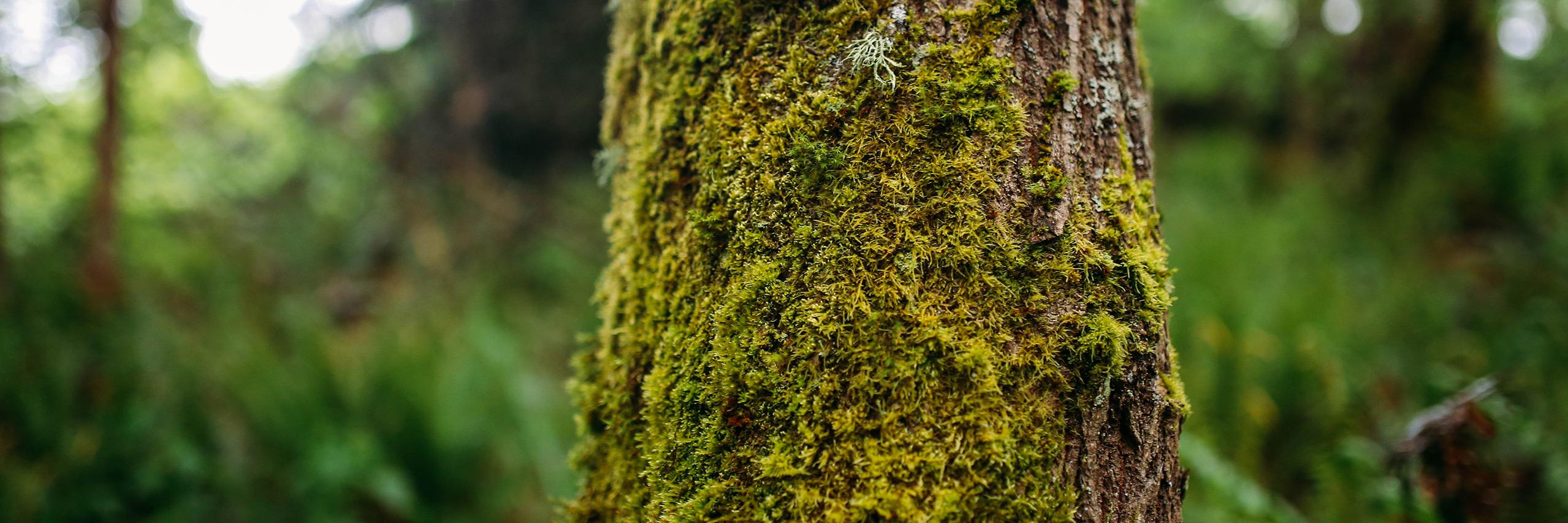ryanhydeau's profile banner image