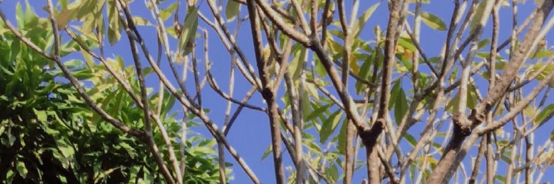 estaaak's profile banner image