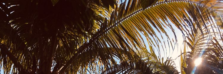 closedchapterr's profile banner image