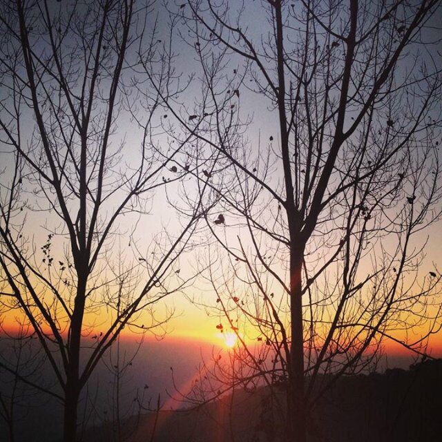 Sane_Shalini's profile banner image