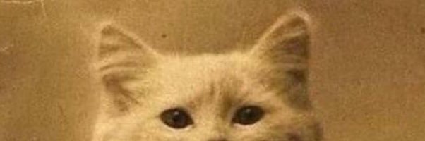 TheWanNOnely's profile banner image