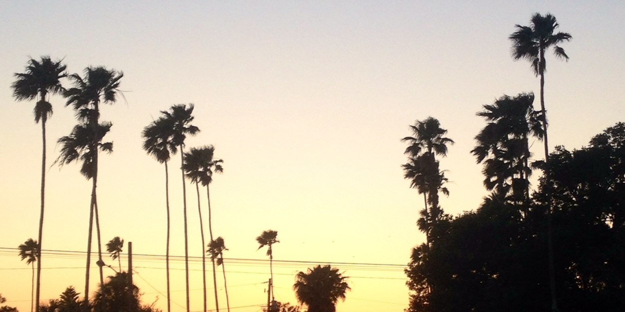 ChristianOShea3's profile banner image
