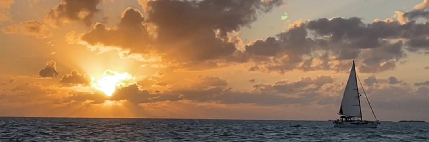 Amy_Finke's profile banner image