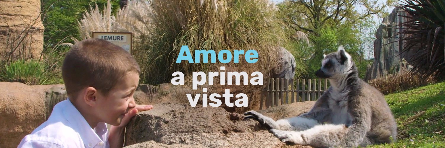 ZoomTorino's profile banner image