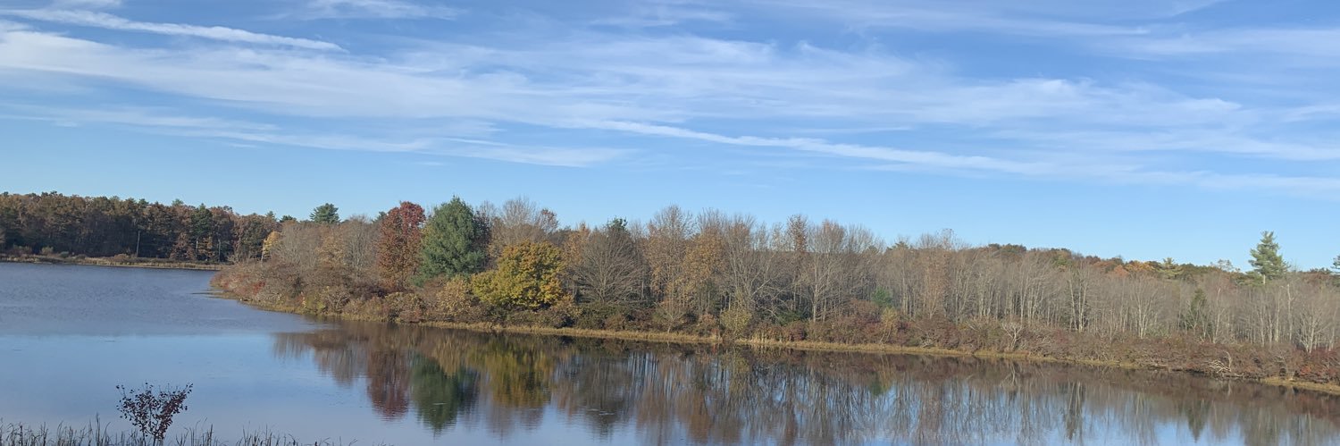 Christine Davis banner