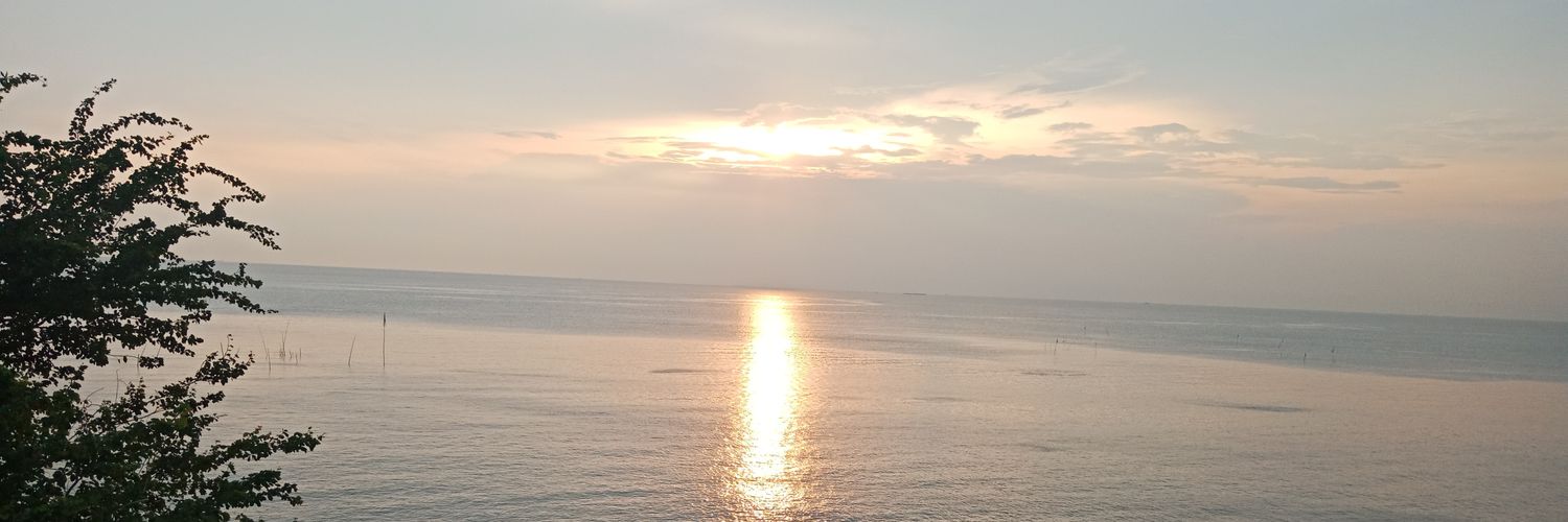 NgowSuya's profile banner image