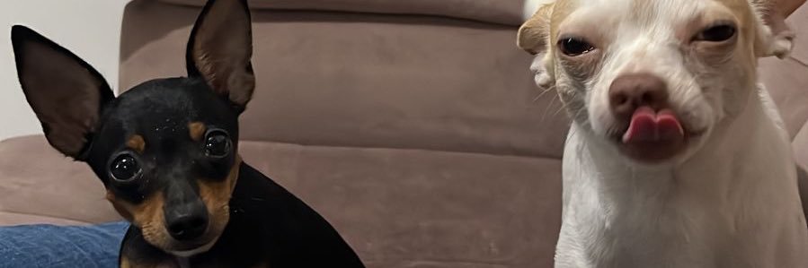 AmandaLiver_'s profile banner image
