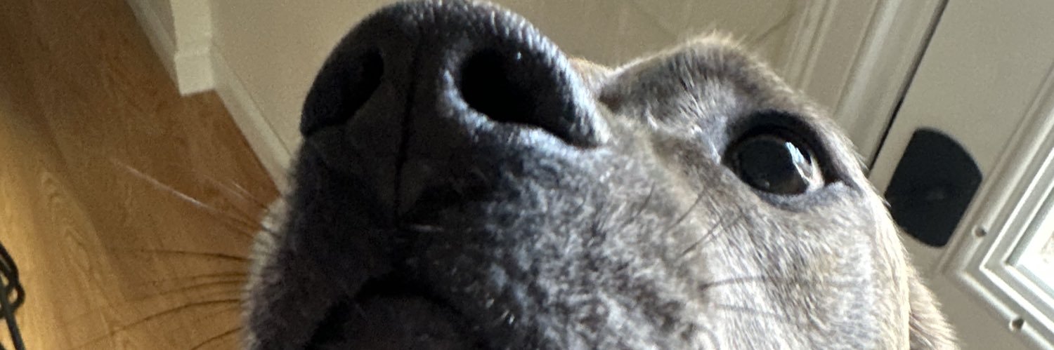 feather_am's profile banner image