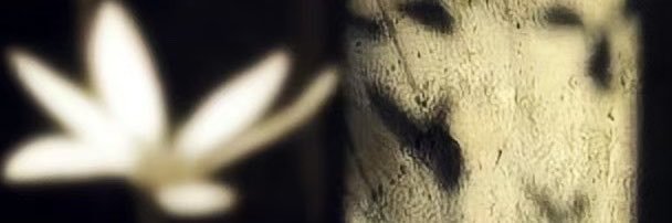 a_tlove's profile banner image