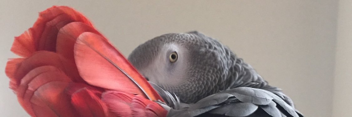 ドラえもん banner