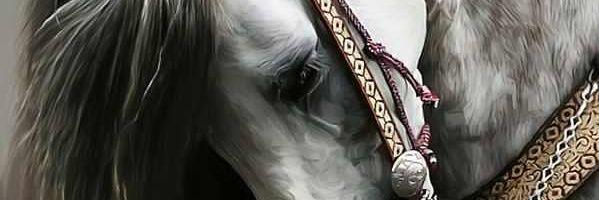 lynettebulule's profile banner image