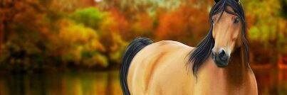 HohSoh's profile banner image
