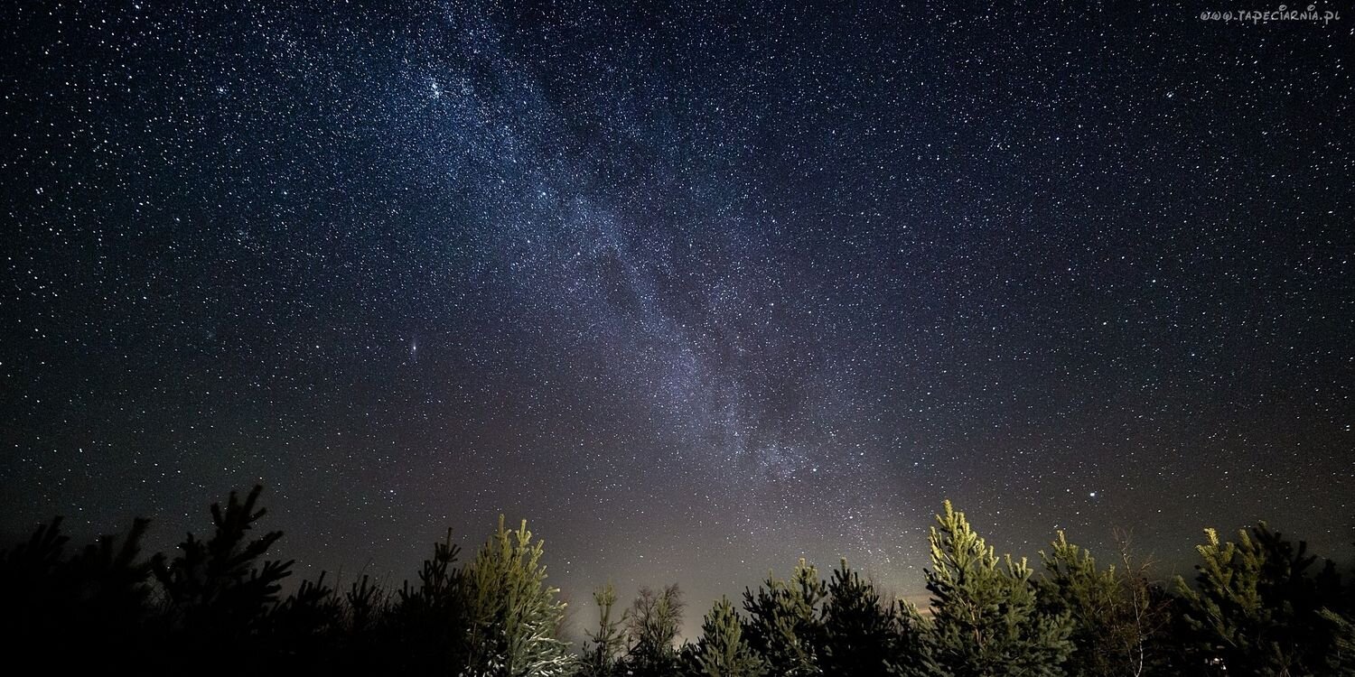 Ewa 🇵🇱 🇪🇺 banner