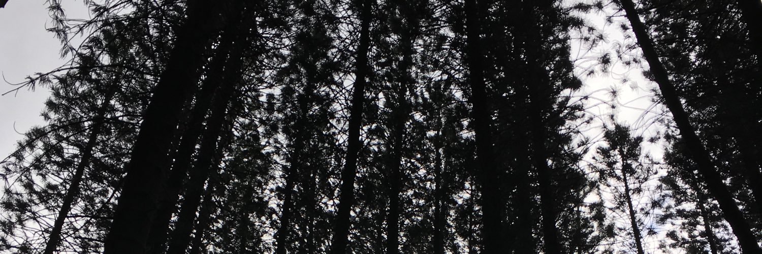 Michael Hitchcock banner