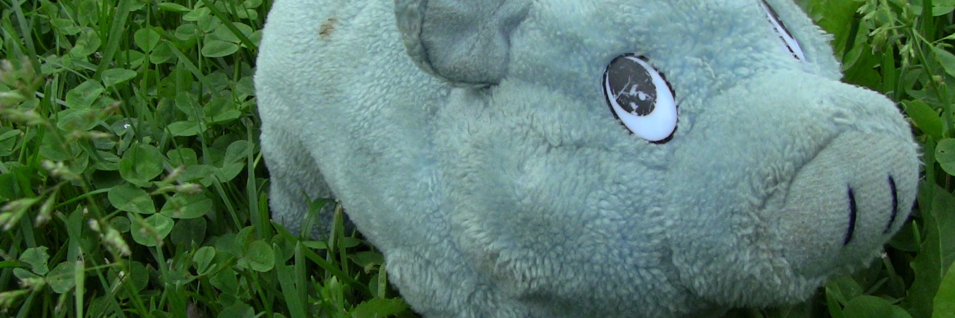 MJoensuu's profile banner image