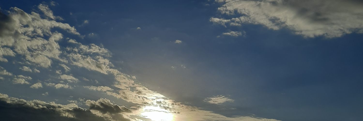 tonicwines's profile banner image