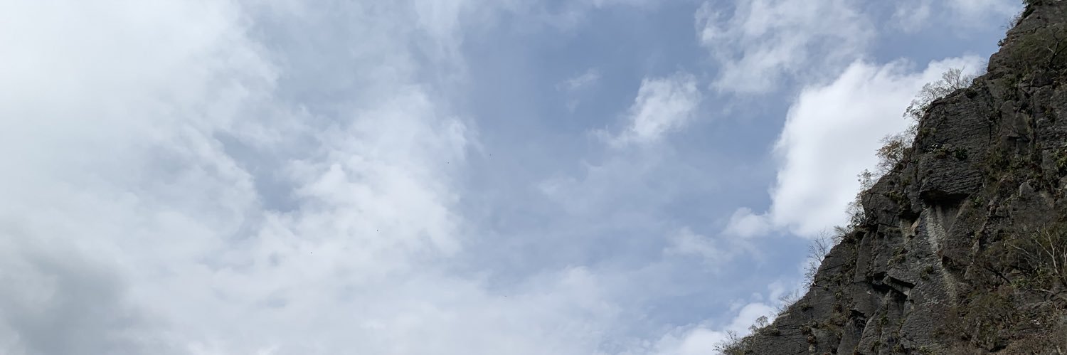 curioso_sum's profile banner image