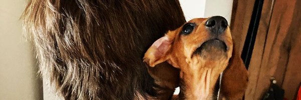 honzikec Profile Banner