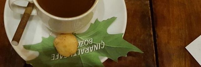 candanapaydin's profile banner image