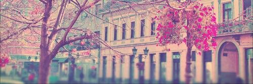 stefhaniOey's profile banner image