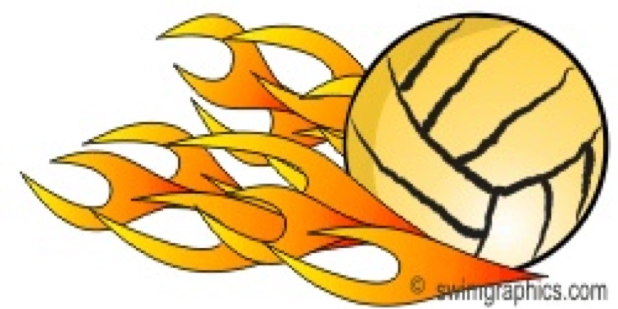 NapervillePolo's profile banner image