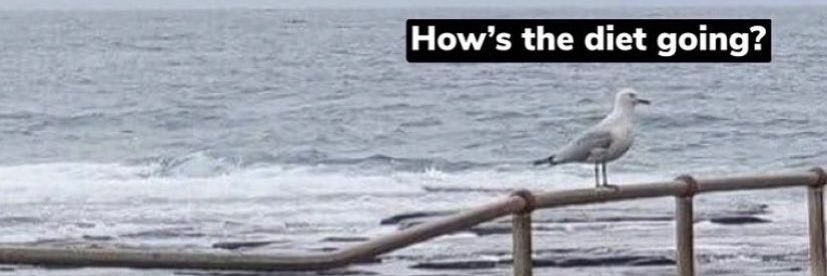 StillMeAlex's profile banner image
