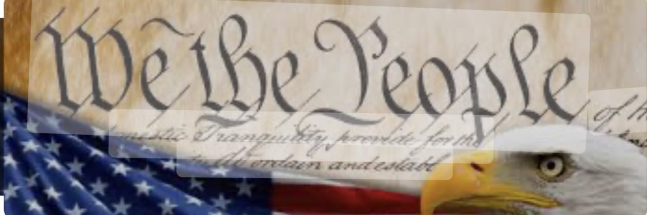 LadyHawk 🇺🇸 banner