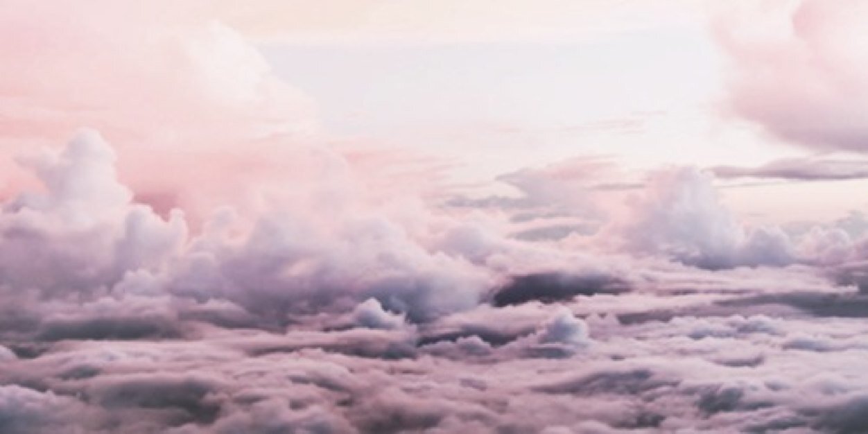 dina banner