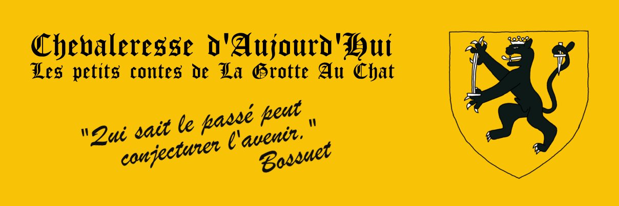 Chevaleresse d'Aujourd'hui banner