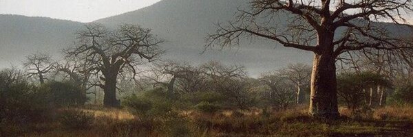 alex_row Profile Banner