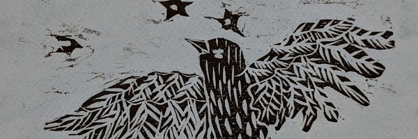 SallyThomasNC Profile Banner