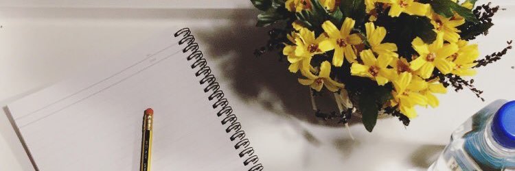 SoshSes's profile banner image