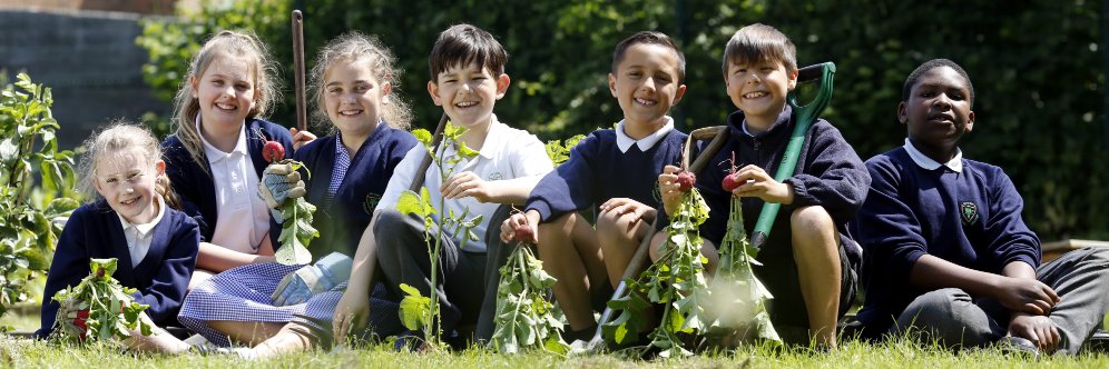 Upton Primary School banner