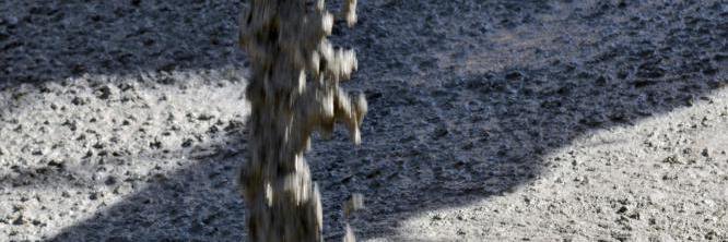 ApuiPala's profile banner image