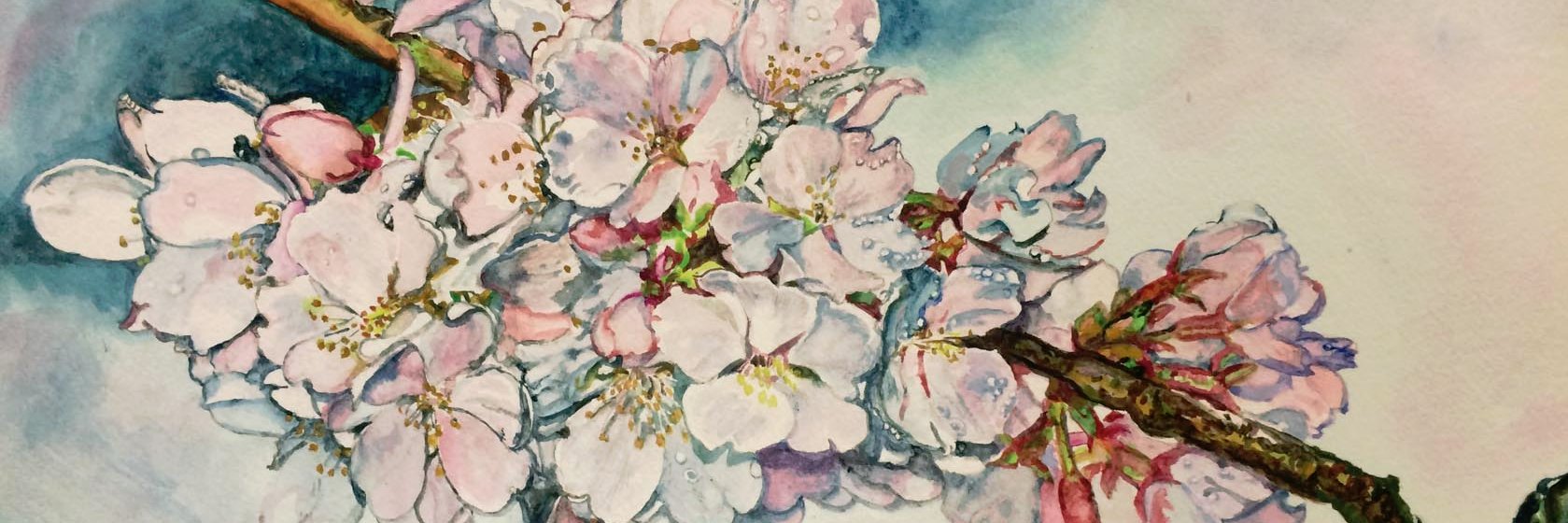 MontArtAssoc's profile banner image