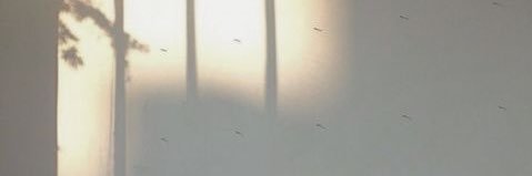 sh4a96's profile banner image
