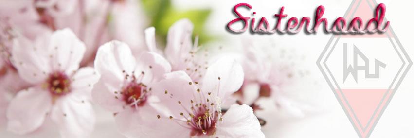 IvanaWAU's profile banner image