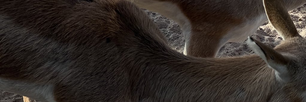 To224's profile banner image