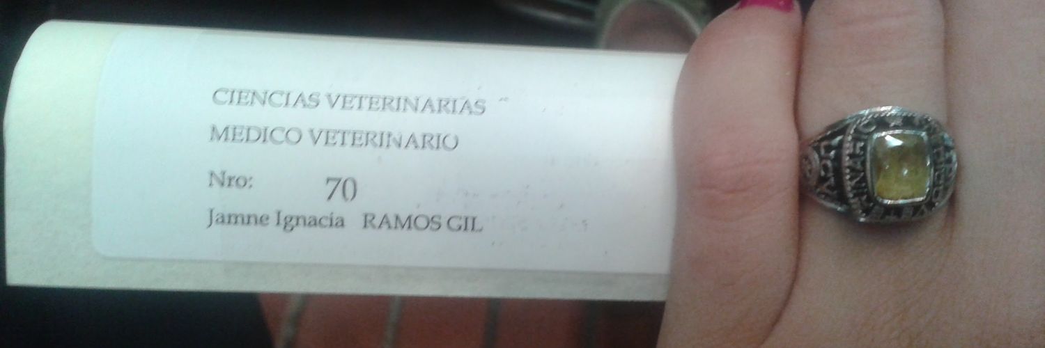Jamneramos's profile banner image