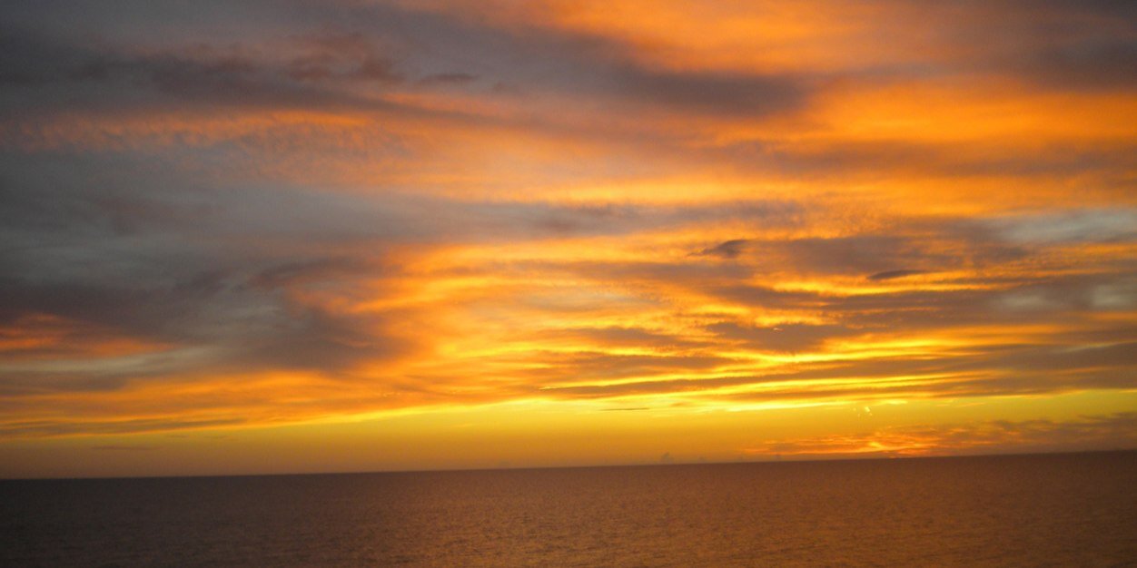BabsiSchuster's profile banner image